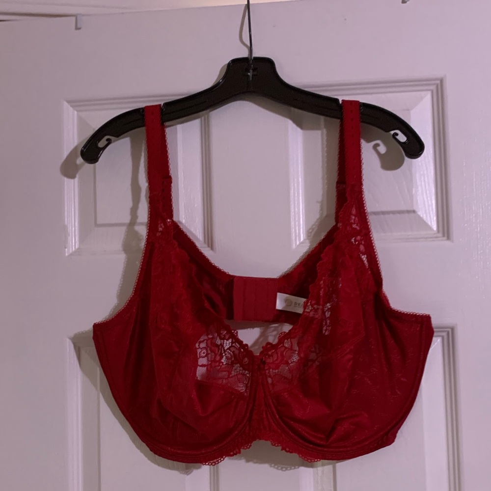 Plus Minimizer Full Coverage Bra